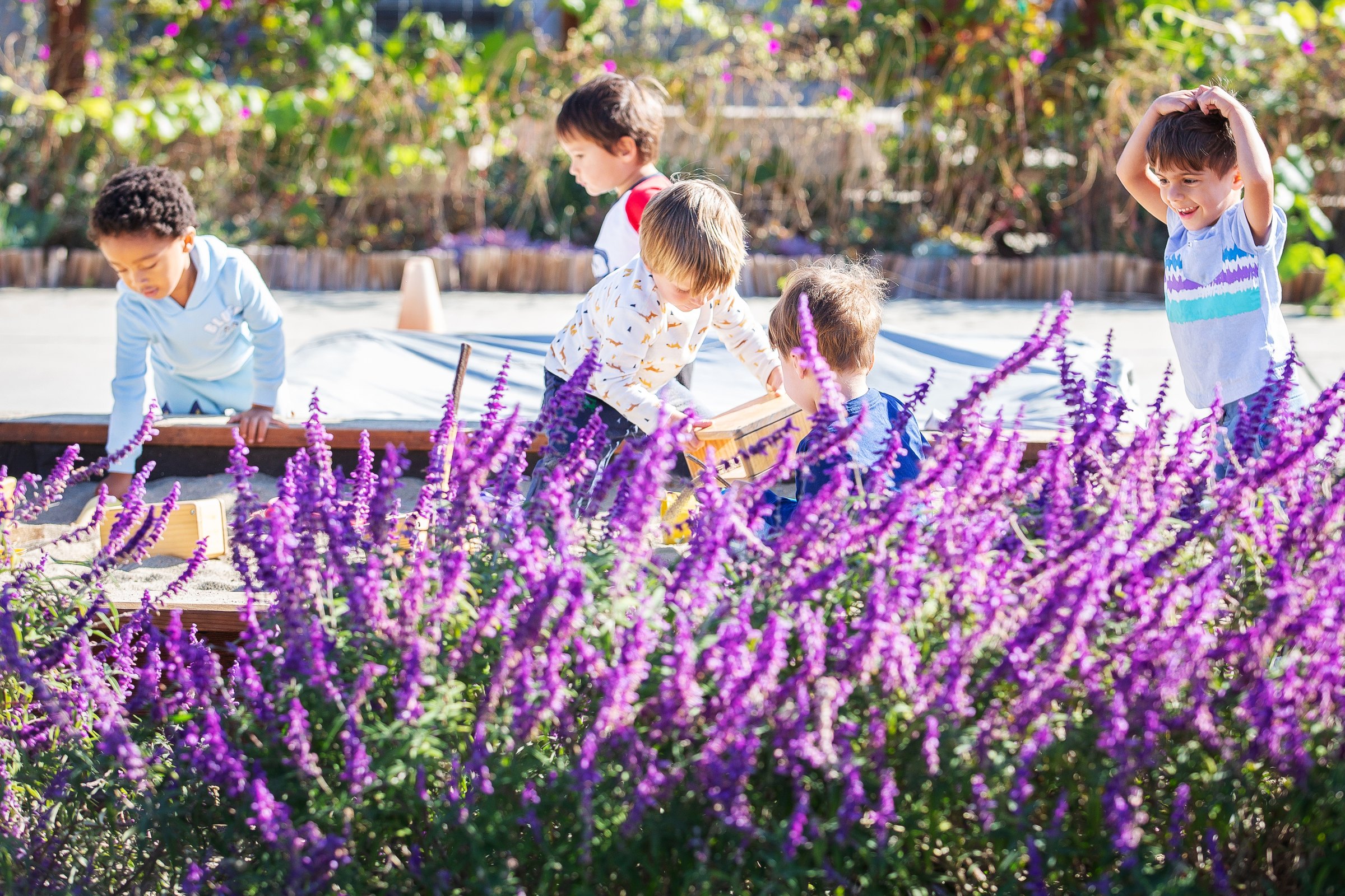 Children playing in the school garden behind a bed of purple lavender